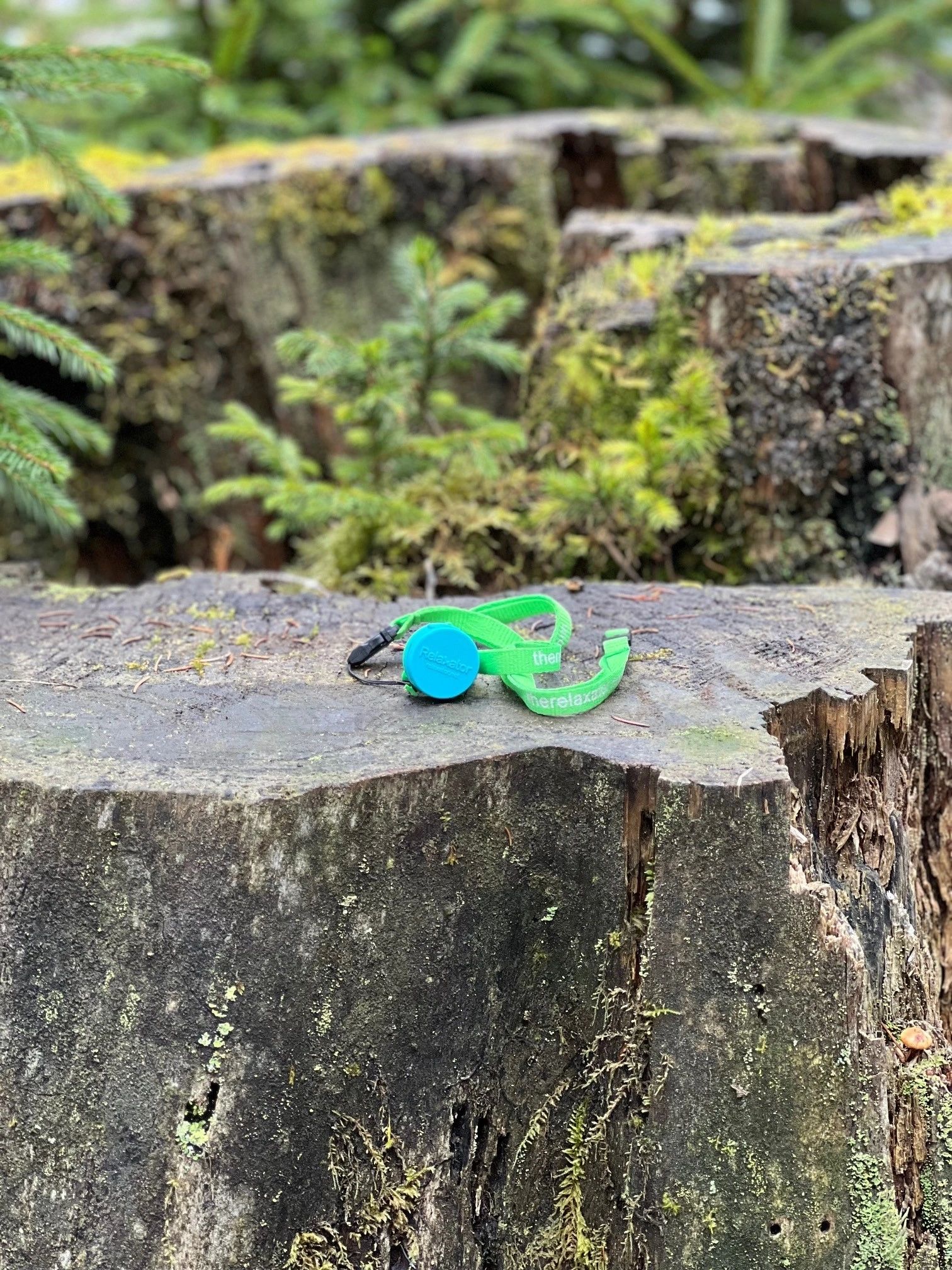 Philosophy and Inspiration